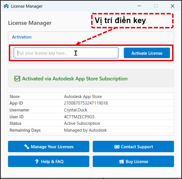 Kich-hoat-license-bang-key-mlabs