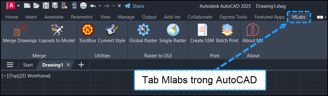 Tong quan tinh nang plugin Xuat CAD- Tab Mlabs